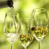 Kako napraviti vino od bijelog grožđa kod kuće